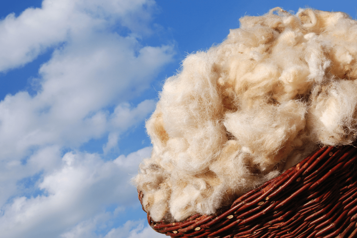 Couches en laine : avantages, limites et entretien réaliste